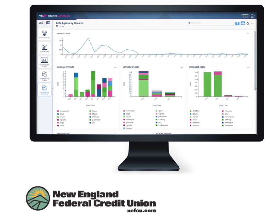 New England Federal Credit Union Case Study DG Screenshot.JPG